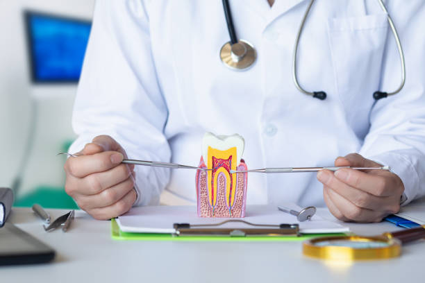 Best Emergency Wisdom Teeth Removal in Plains, TX